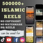 ৫০ হাজার + কপিরাইট ফ্রি ইসলামিক রিলস ভিডিও বান্ডেল